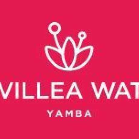 Grevillea Waters Yamba photo