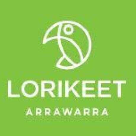 Lorikeet Arrawarra photo
