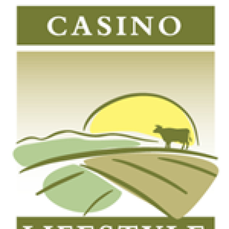 Casino Lifestyle Village - Emmanuel Couch photo