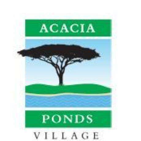 David Lee - Acacia Pond photo