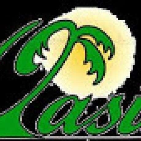 Oasis Tourist Park photo