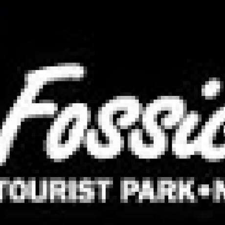 Fossickers Tourist Park photo