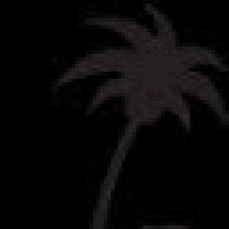 Mollymook Caravan Park photo