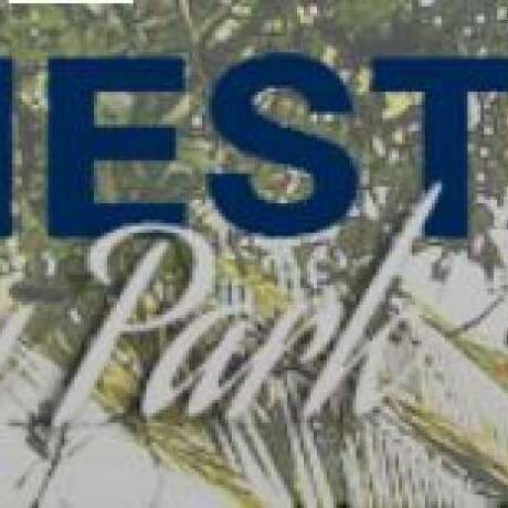 Homestead Holiday Park photo