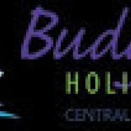 Budgewoi Holiday Park photo