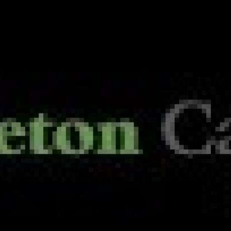 Cara Court Caravan Park photo