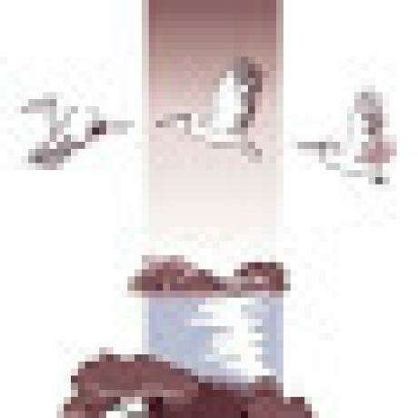 Robe Lakeside Tourist Park photo