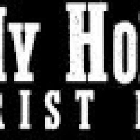 Sandy Hollow Tourist Park photo