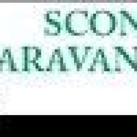 Scone Caravan Park photo