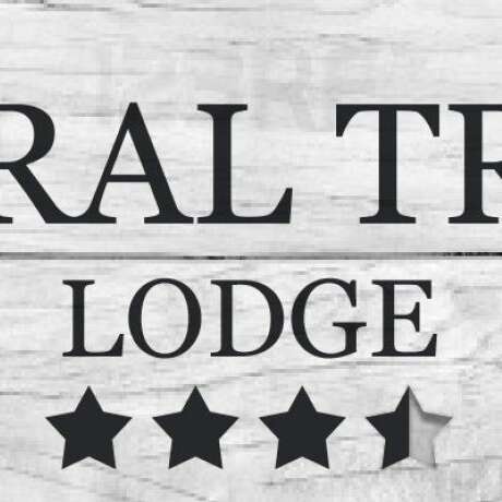 Coral Tree Lodge Tourist Park photo