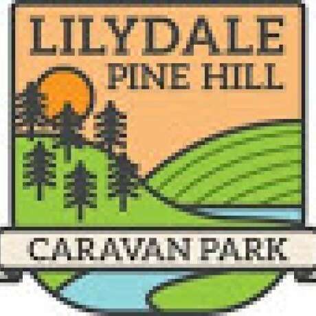 Lilydale Pine Hill Caravan Park photo