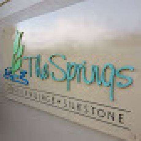 Springs Lifestyle Village photo