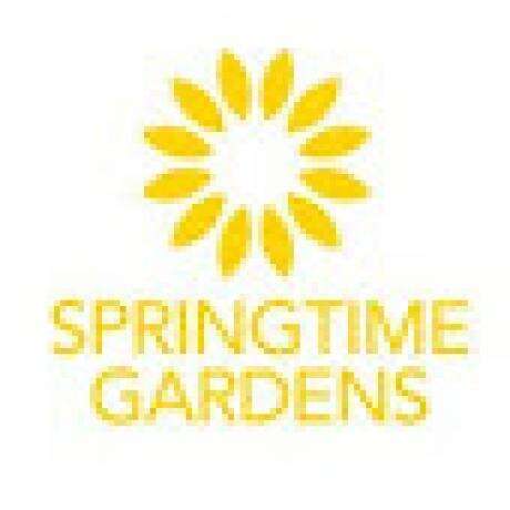 Springtime Gardens Caravan Park photo