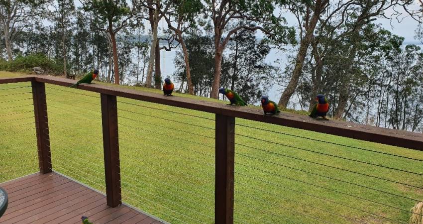 004/132 Findlay Avenue, Chain Valley Bay NSW 5