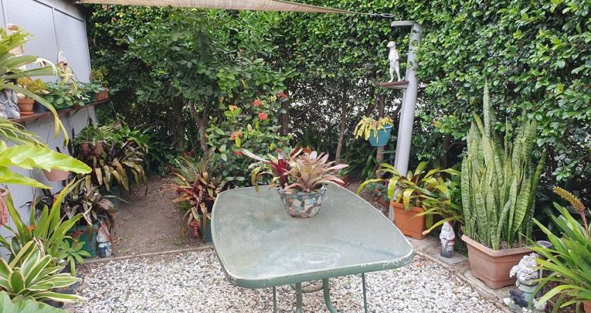 008 The Pines Woolgoolga NSW 2456-5