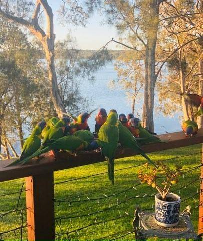 059/132 Findlay Avenue, Chain Valley Bay NSW 2