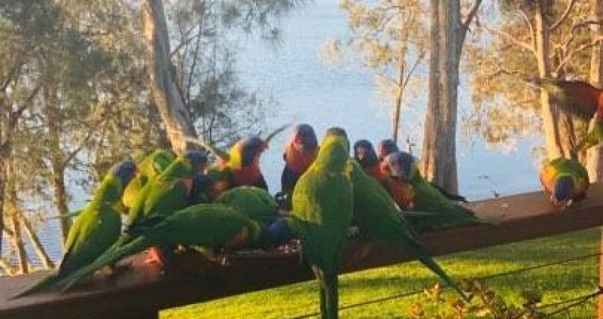 059/132 Findlay Avenue, Chain Valley Bay NSW 2