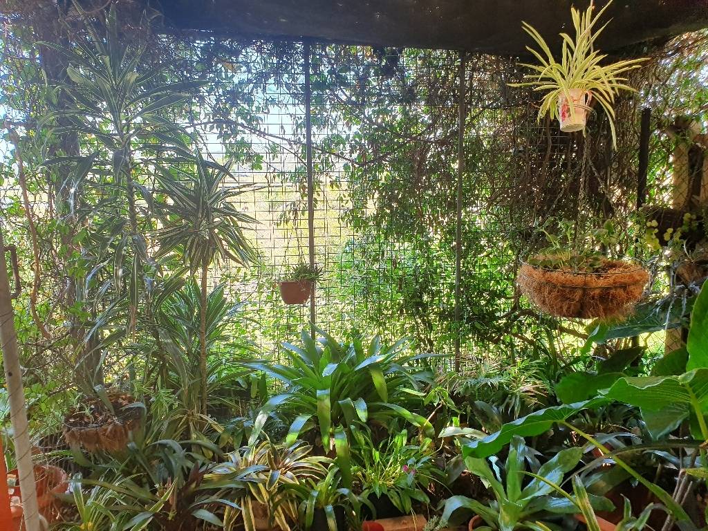 072 Regal Waters Bethania QLD 4205-3