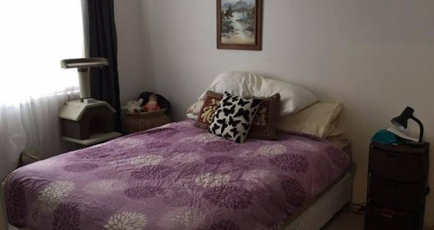 213 Brisbane Terrace, Goodna QLD 4300-4