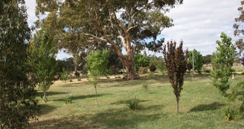 1020 Boddington West Road, Naracoorte, SA 5271 1