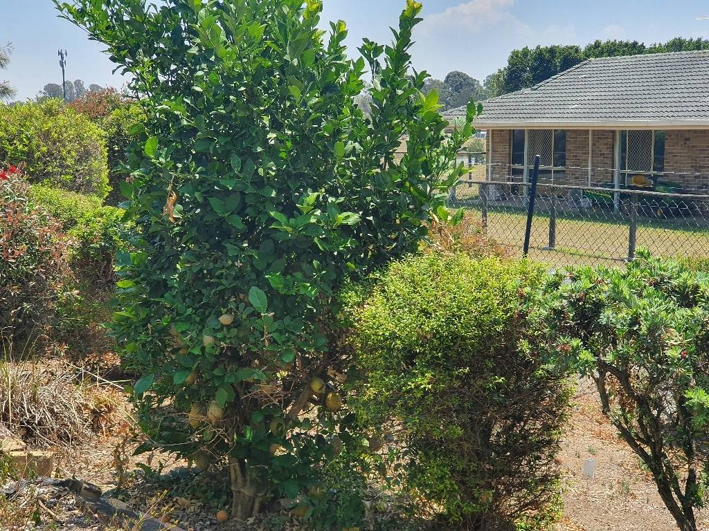 151 Regal Waters Bethania QLD 4205-4