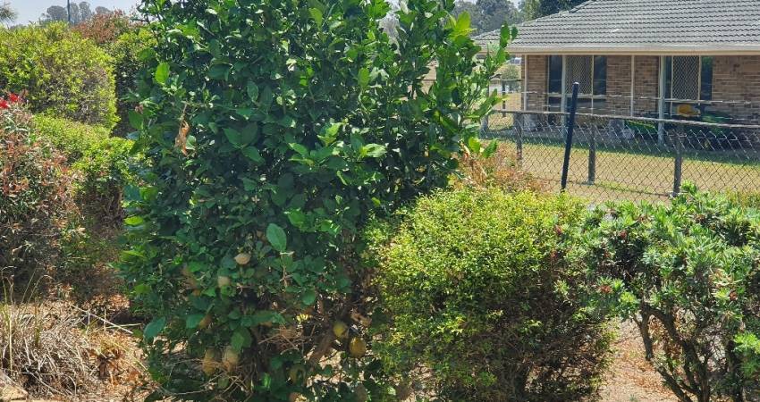 151 Regal Waters Bethania QLD 4205-4