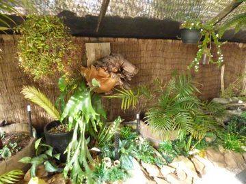 160 Narracan Drive, Newborough, Vic 3825 2