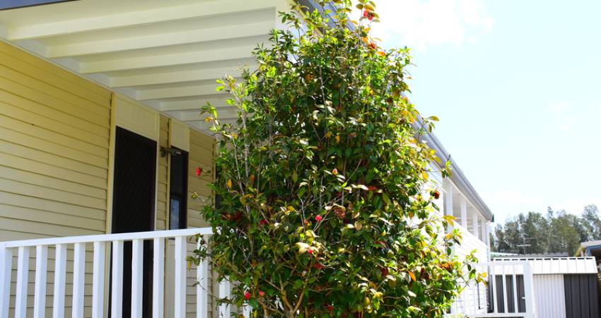 32/4 Gimberts Road Morisset, NSW 2264-1