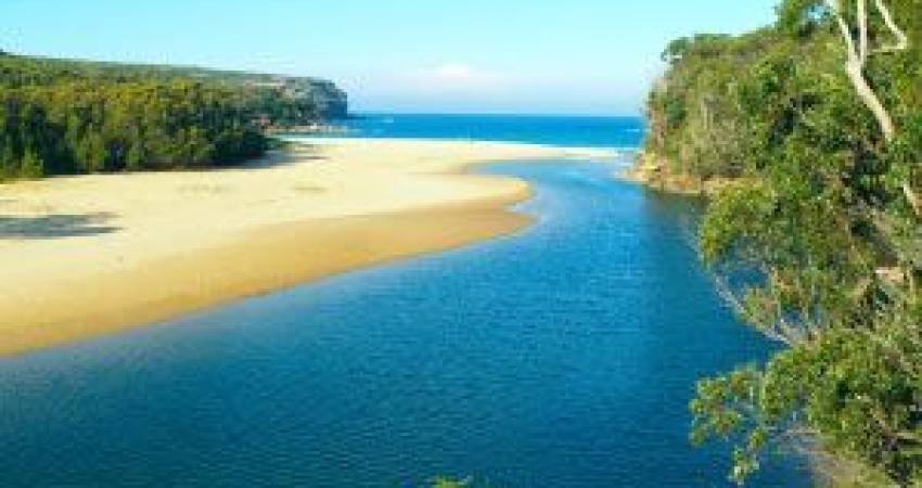 50 - The Pines Woolgoolga NSW 2456-2
