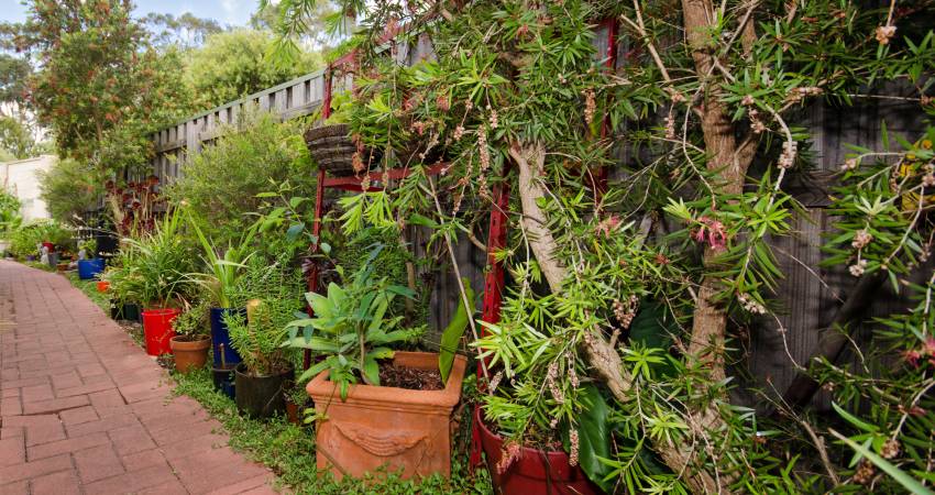 597 Kalamunda Rd, High Wycombe WA -2