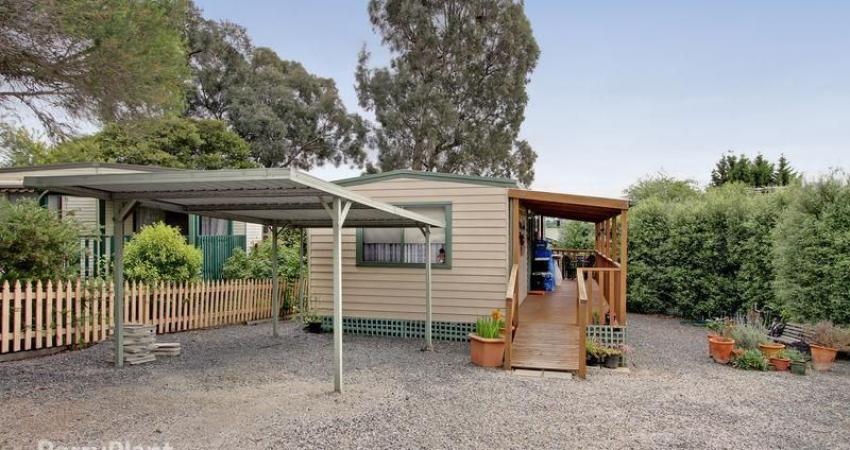 5 Lady William Court WANTIRNA VIC 3152  1