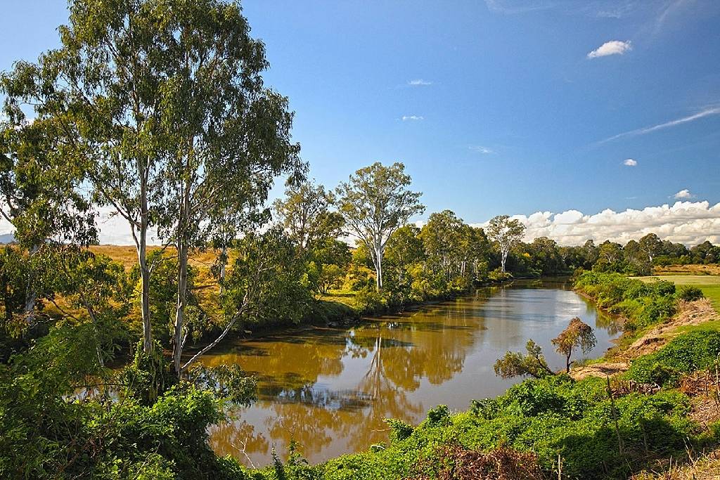 84	102A Moores Pocket Rd, Moores Pocket QLD 4305 1