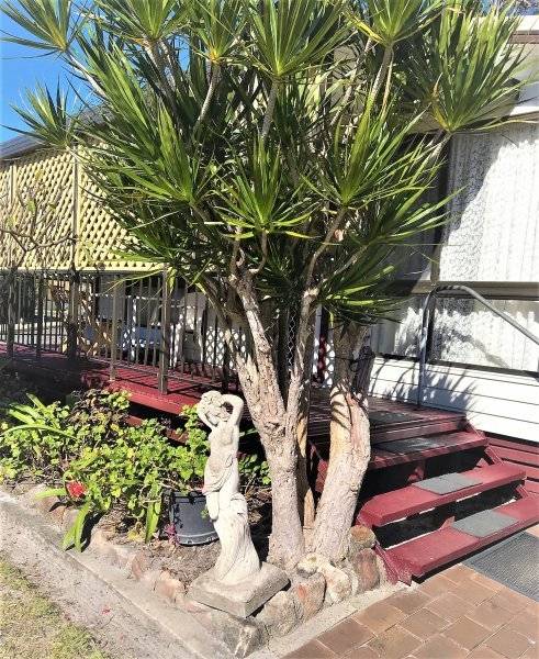 60-500-1 Faringdon Cl, Nambucca Heads, NSW 2448  7