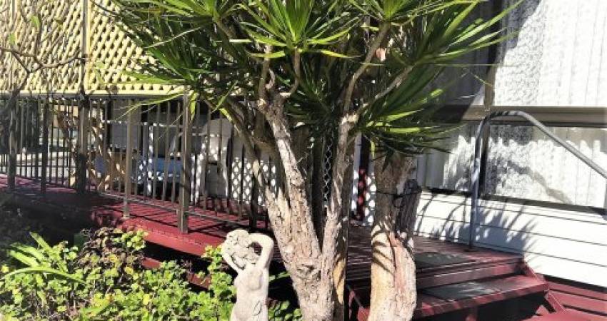 60-500-1 Faringdon Cl, Nambucca Heads, NSW 2448  7
