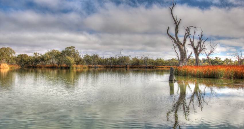 Site 14A Cobdogla Caravan Park Cobdogla SA 5346 1