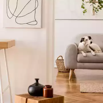 karen C testimonial image