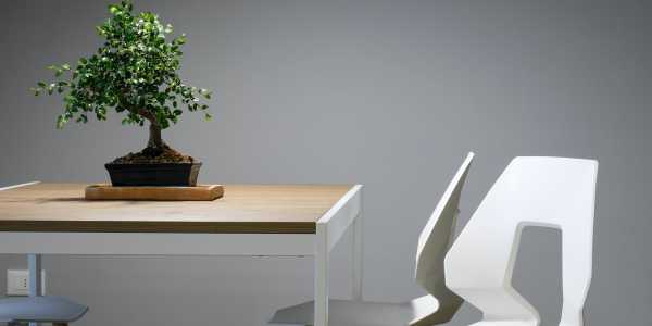 Seller of a House in Picton testimonial image