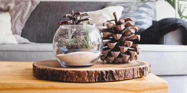 Buyer of a House in Picton testimonial image