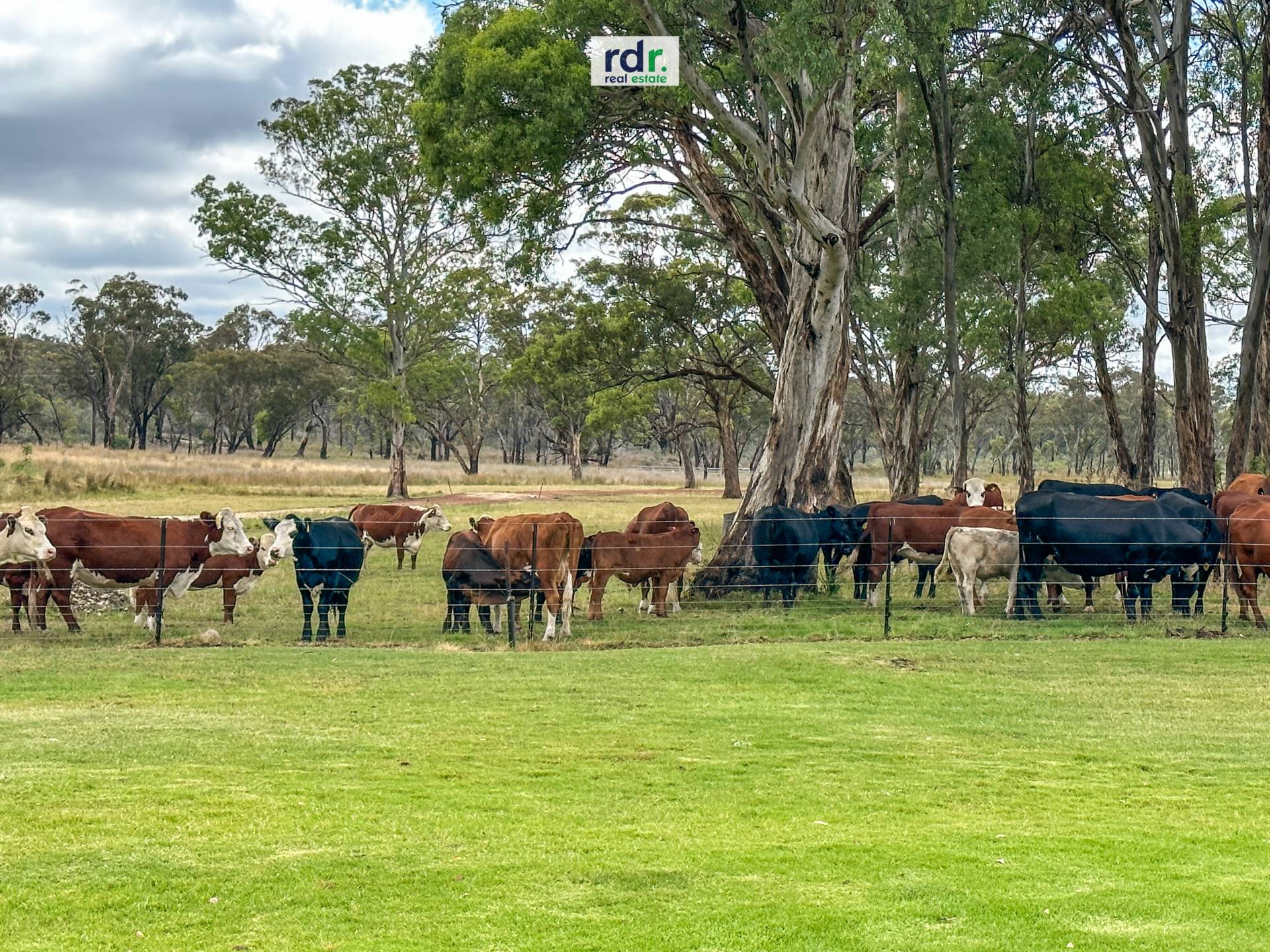 RDR Real Estate "GLEN ALPIN"