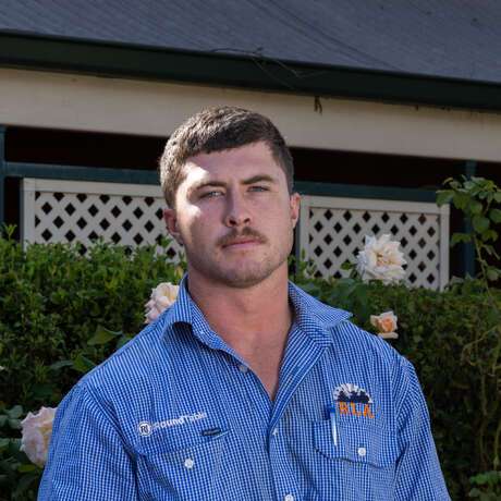 Jesse Bellchambers photo