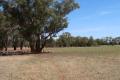 Coolamon  "Carters" 235 acres  BUILDING ENTITLEMENT  POWER AND TOWN WATER