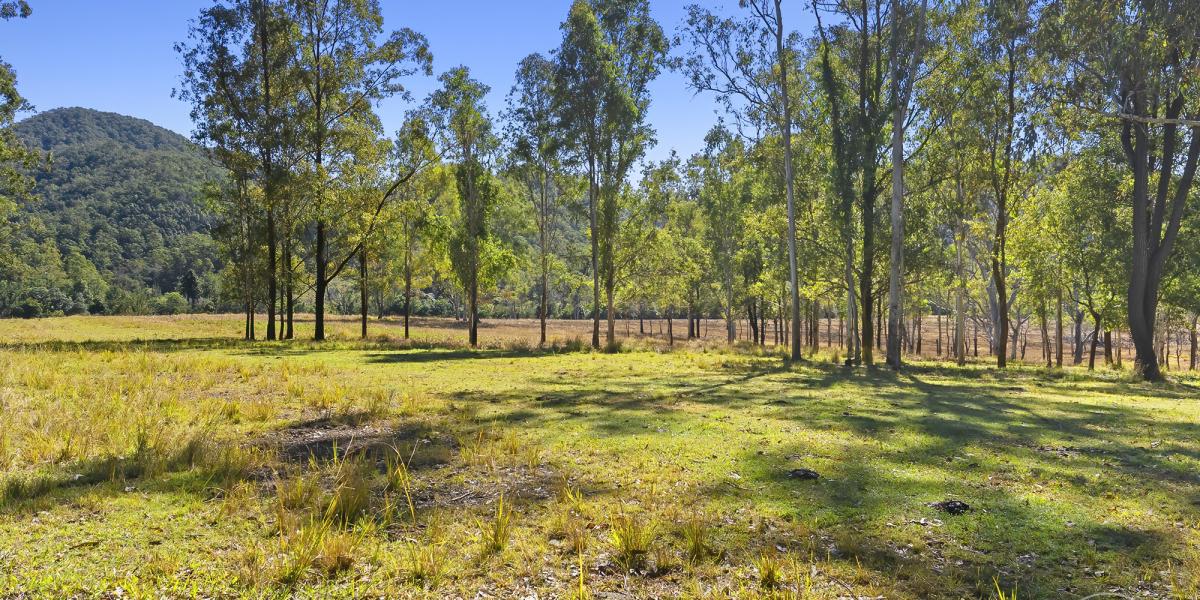 VACANT GRAZING LAND WITH CREEK FRONTAGE