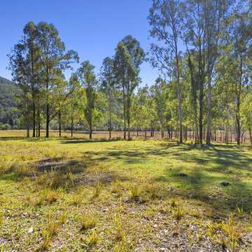 Charlotte - Bella Creek testimonial image