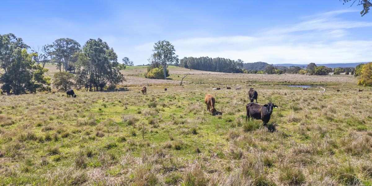 40 ACRES - 1 BLOCK LEFT