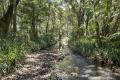 YOUR PRIVATE RAINFOREST ESCAPE AWAITS!