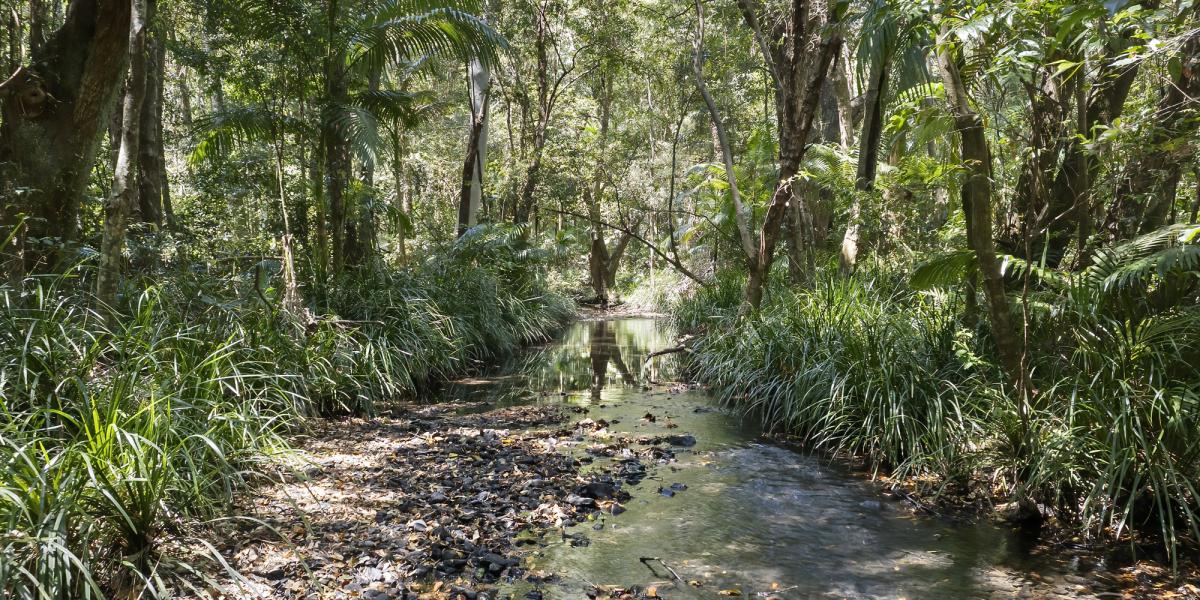 YOUR PRIVATE RAINFOREST ESCAPE AWAITS!