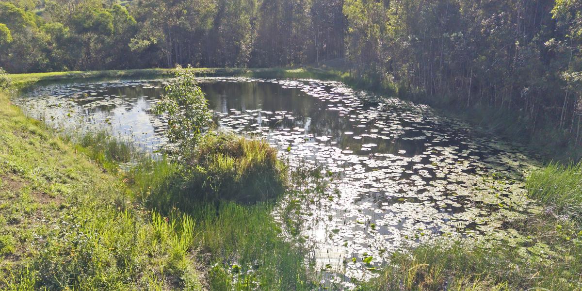 LIFESTYLE AND PASSIVE INCOME