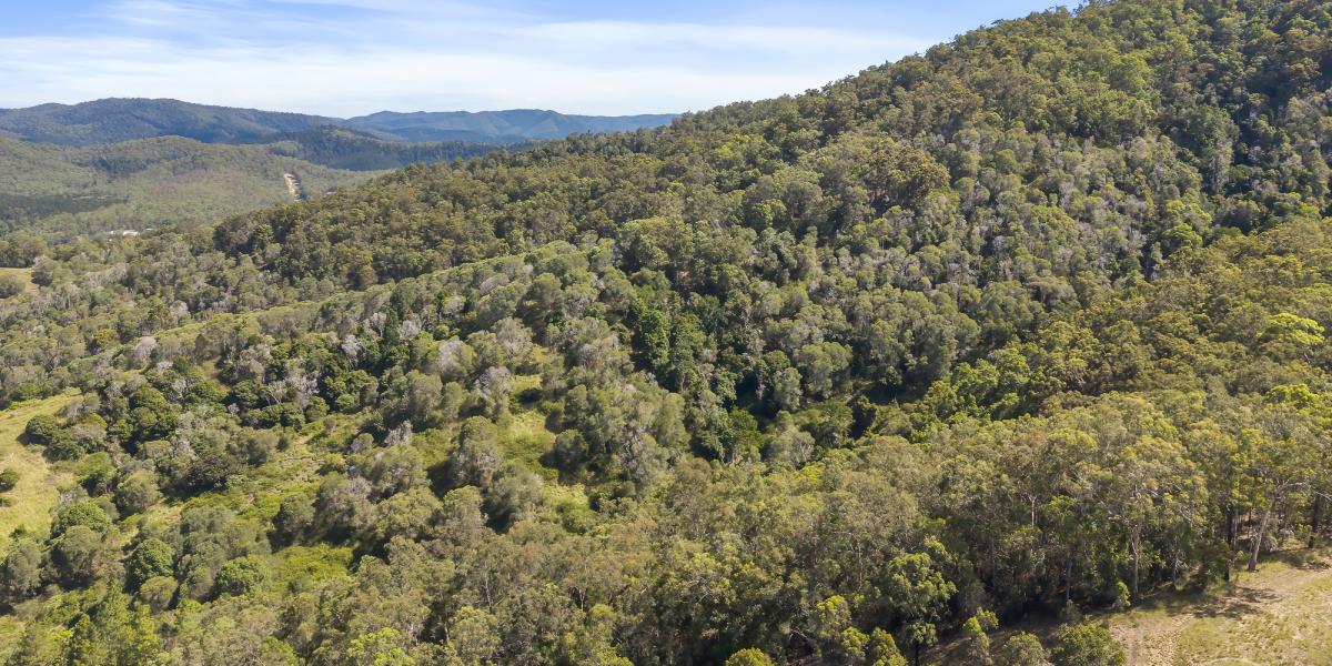 A RARE BUSHLAND ESCAPE ON THE EDGE OF TOWN