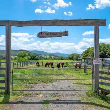 Brook and Leigh Ann - Kenilworth testimonial image