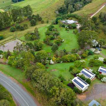 Rosemary - Amamoor testimonial image